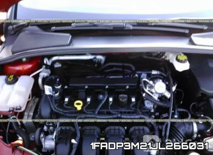 1FADP3M21JL266031 фото 2