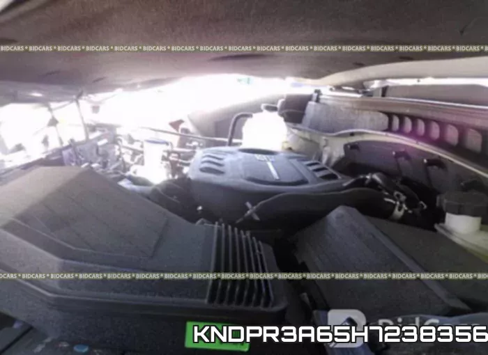 KNDPR3A65H7238356 фото 2