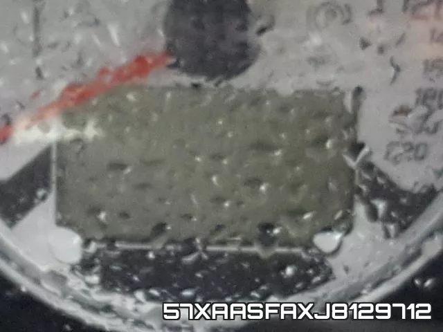 57XAASFAXJ8129712 фото 9