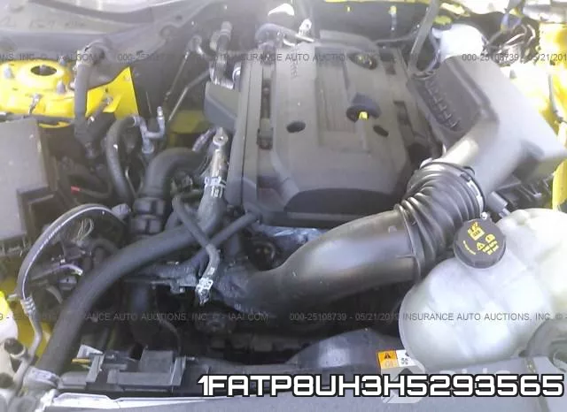 1FATP8UH3H5293565 фото 2
