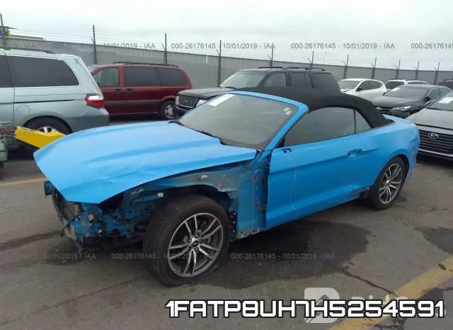 1FATP8UH7H5254591 фото 3