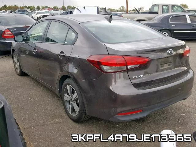 3KPFL4A79JE173965 фото 4