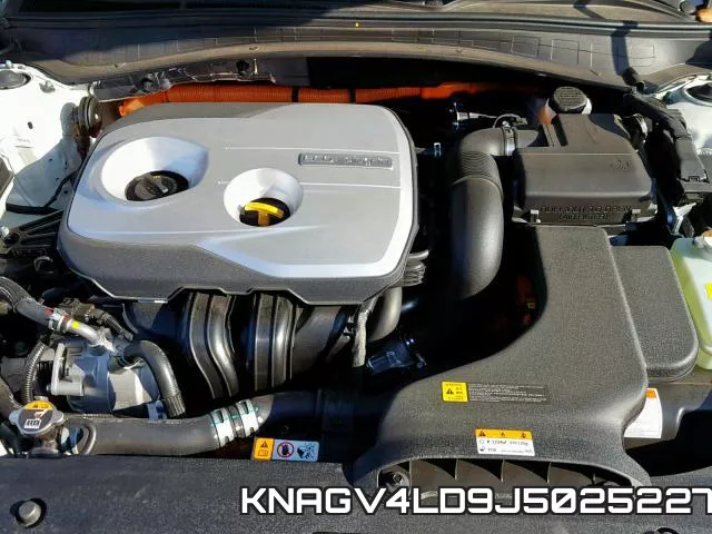 KNAGV4LD9J5025227 фото 8