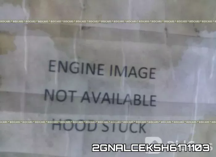 2GNALCEK5H6171103 фото 2