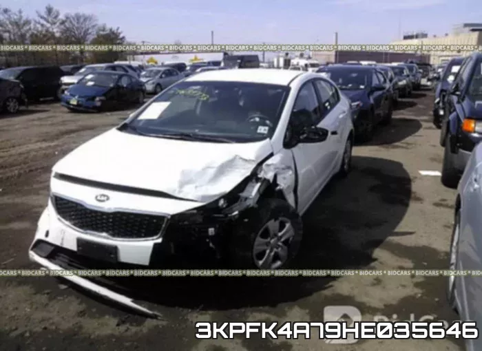 3KPFK4A79HE035646 фото 3
