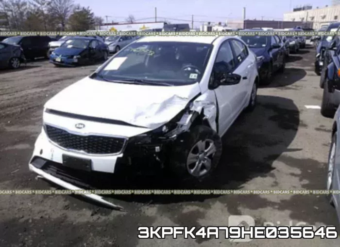 3KPFK4A79HE035646 фото 7