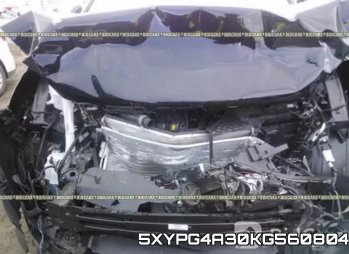 5XYPG4A30KG560804 фото 2