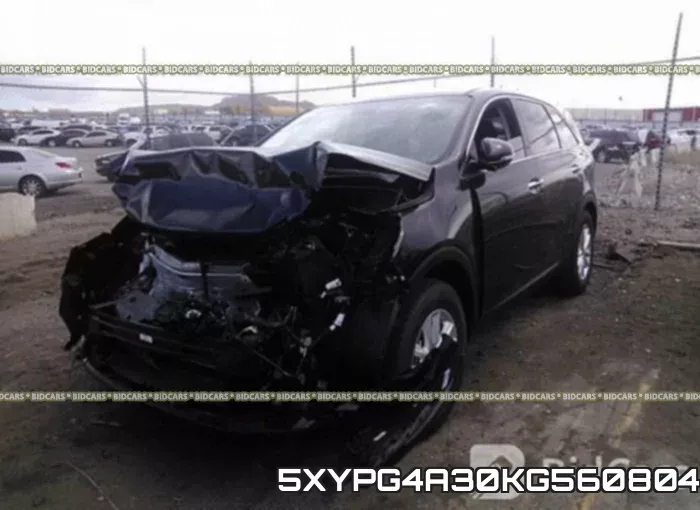 5XYPG4A30KG560804 фото 3