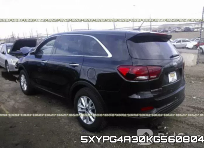 5XYPG4A30KG560804 фото 4