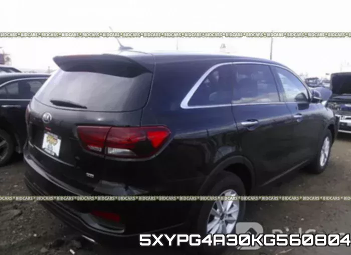 5XYPG4A30KG560804 фото 5