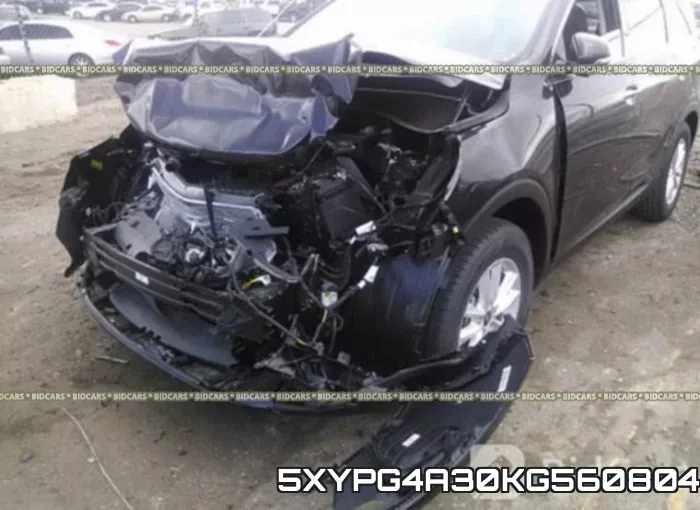 5XYPG4A30KG560804 фото 7
