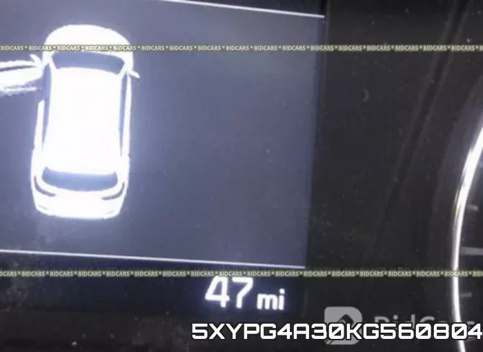 5XYPG4A30KG560804 фото 8