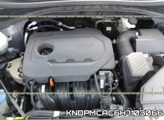 KNDPMCAC6H7103066 фото 2