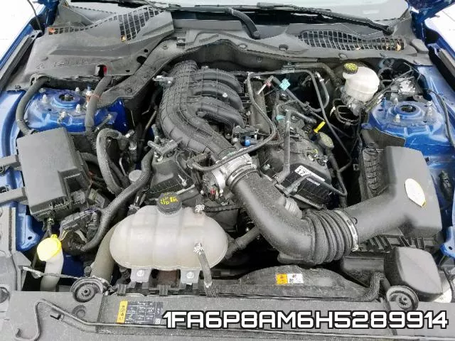 1FA6P8AM6H5289914 фото 8