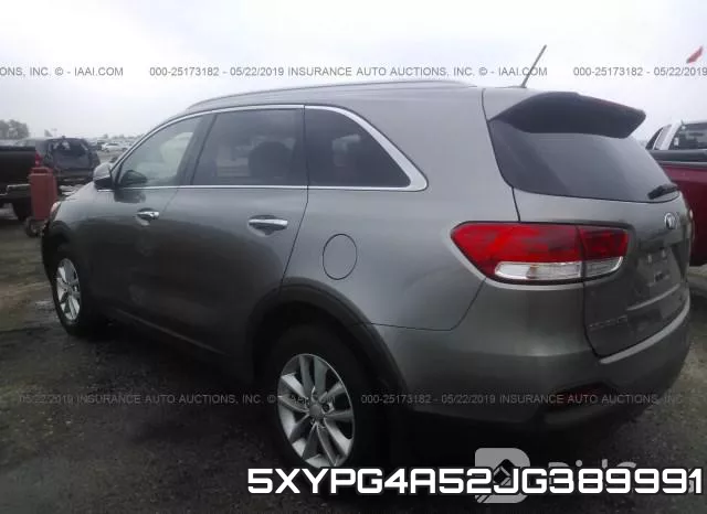 5XYPG4A52JG389991 фото 4