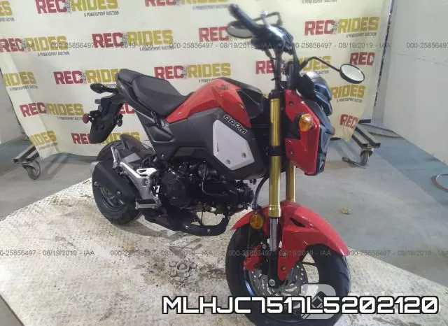 MLHJC7517L5202120 фото 3