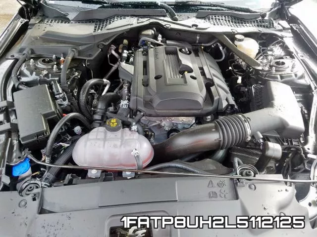 1FATP8UH2L5112125 фото 8