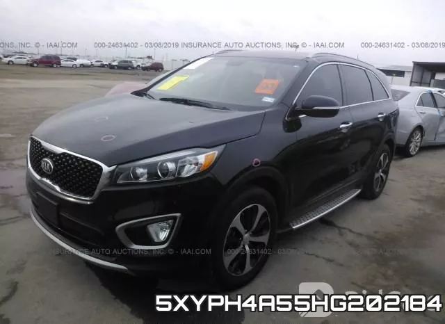 5XYPH4A55HG202184 фото 3