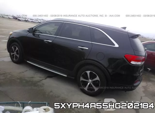 5XYPH4A55HG202184 фото 4