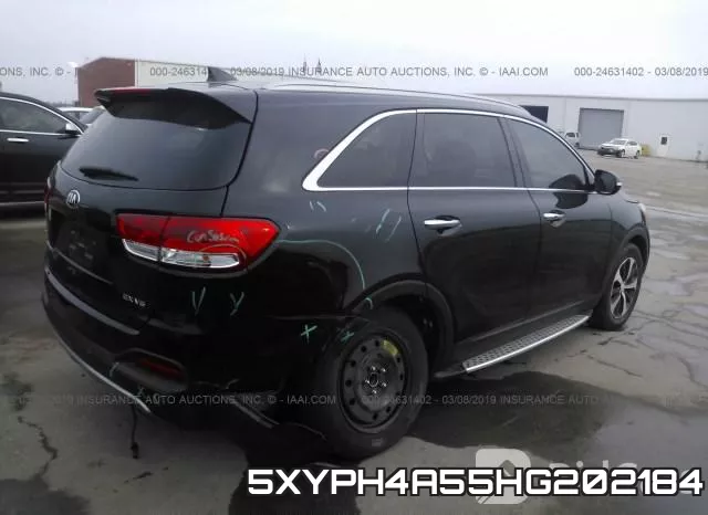5XYPH4A55HG202184 фото 5