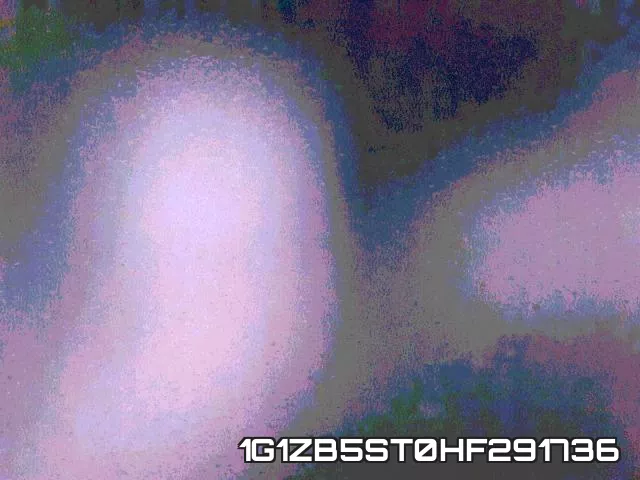 1G1ZB5ST0HF291736 фото 9