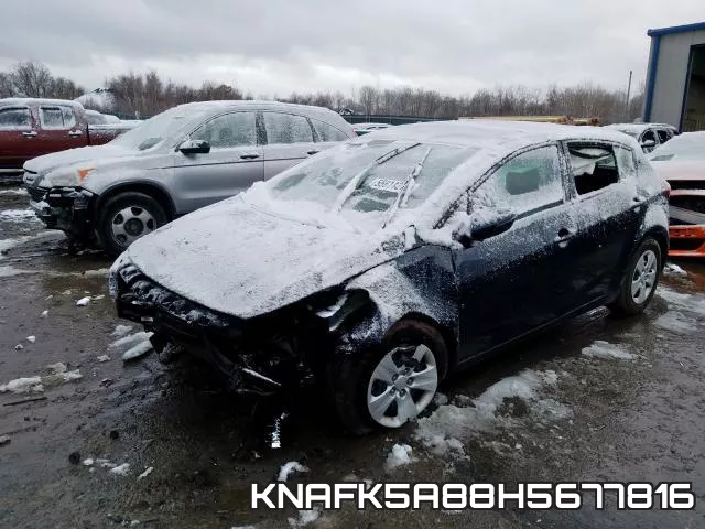 KNAFK5A88H5677816 фото 3