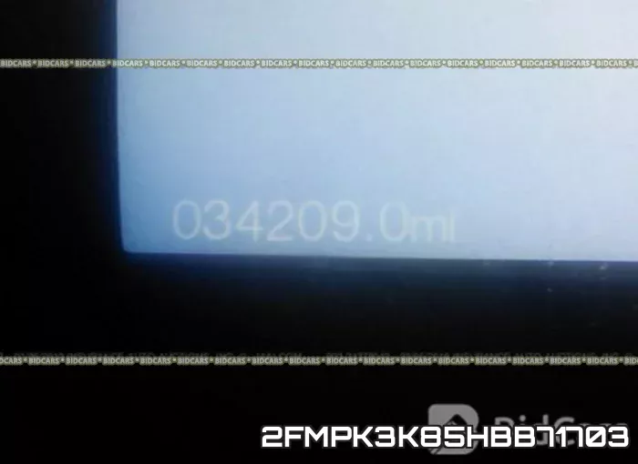 2FMPK3K85HBB71703 фото 8