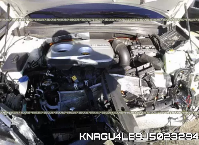 KNAGU4LE9J5023294 фото 2