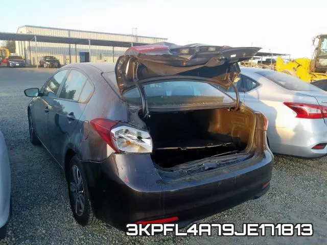 3KPFL4A79JE171813 фото 4