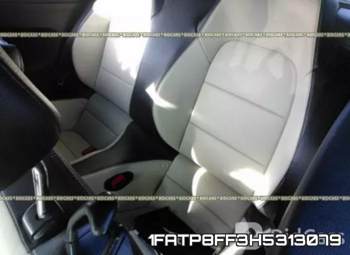 1FATP8FF3H5313079 фото 9