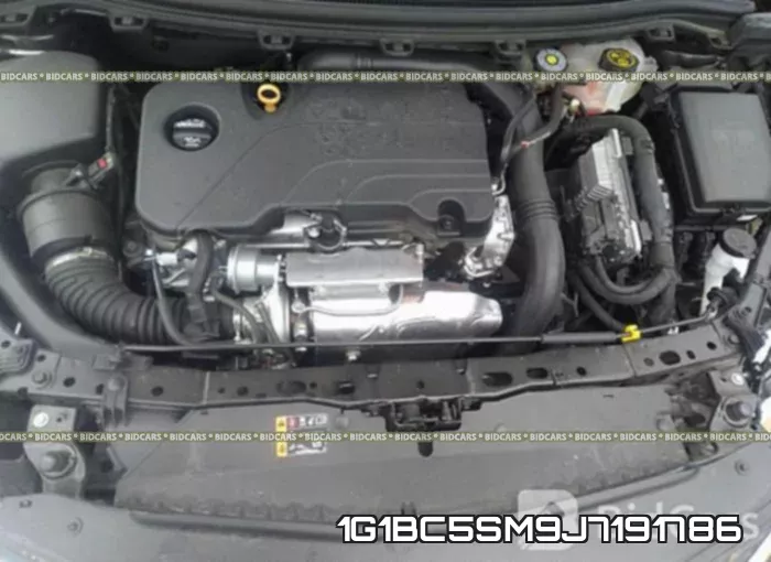 1G1BC5SM9J7191786 фото 2