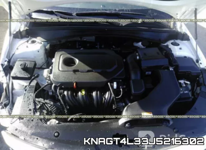 KNAGT4L33J5216302 фото 2