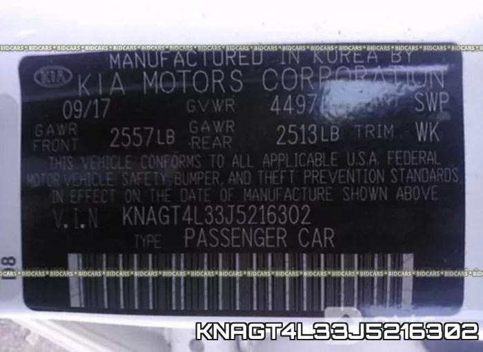 KNAGT4L33J5216302 фото 10