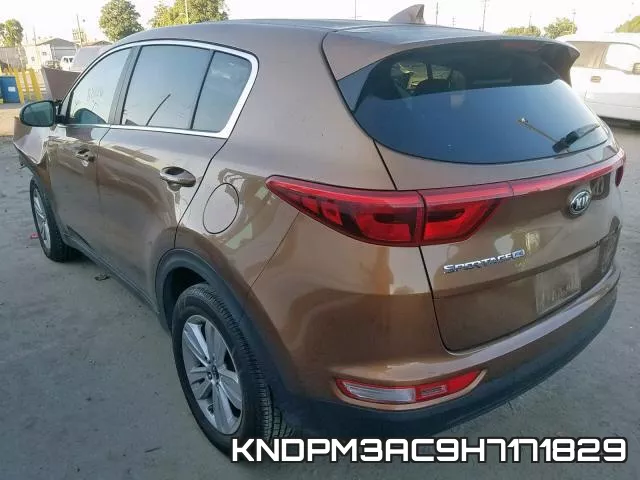 KNDPM3AC9H7171829 фото 4