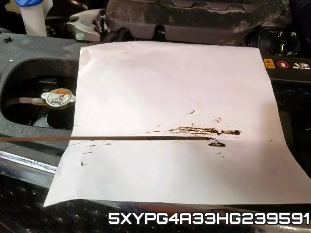 5XYPG4A33HG239591 фото 8