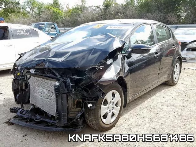 KNAFK5A80H5681486 фото 3
