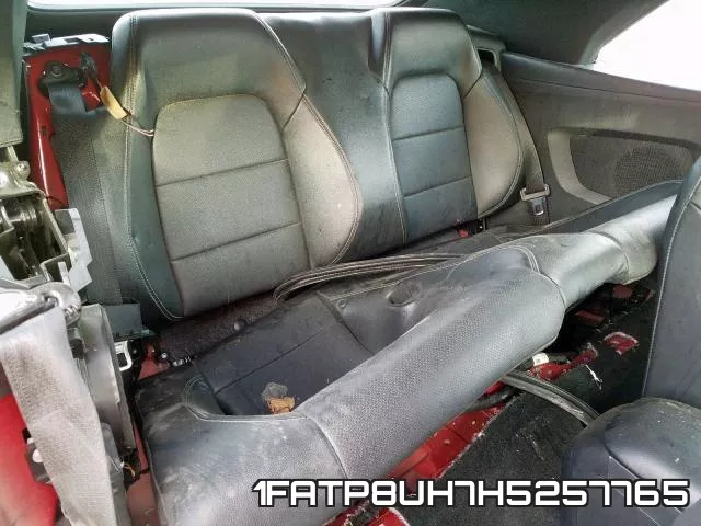 1FATP8UH7H5257765 фото 7