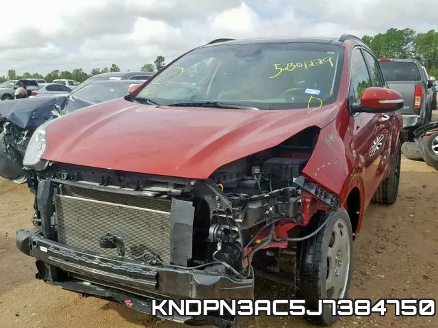 KNDPN3AC5J7384750 фото 2