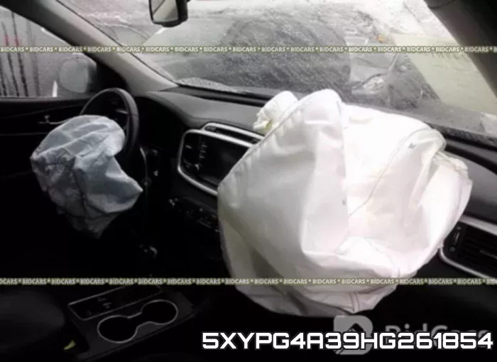5XYPG4A39HG261854 фото 6