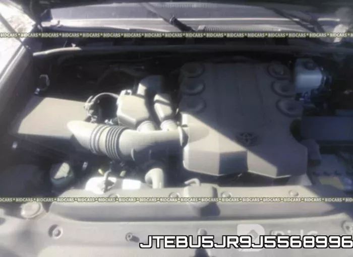 JTEBU5JR9J5568996 фото 2