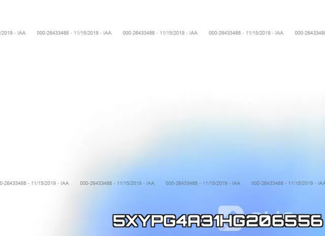5XYPG4A31HG206556 фото 2