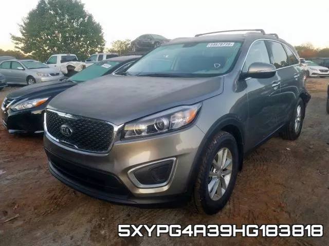 5XYPG4A39HG183818 фото 3