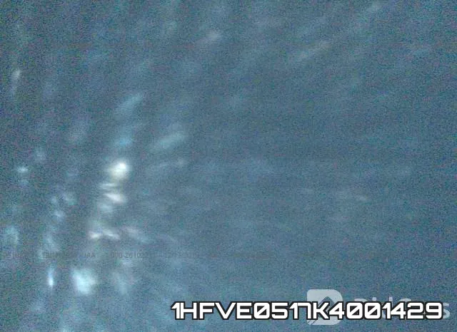 1HFVE0517K4001429 фото 2