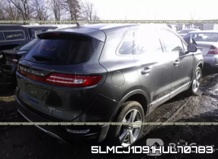 5LMCJ1D91HUL70783 фото 5