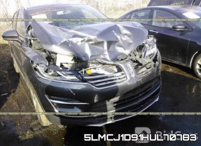5LMCJ1D91HUL70783 фото 7