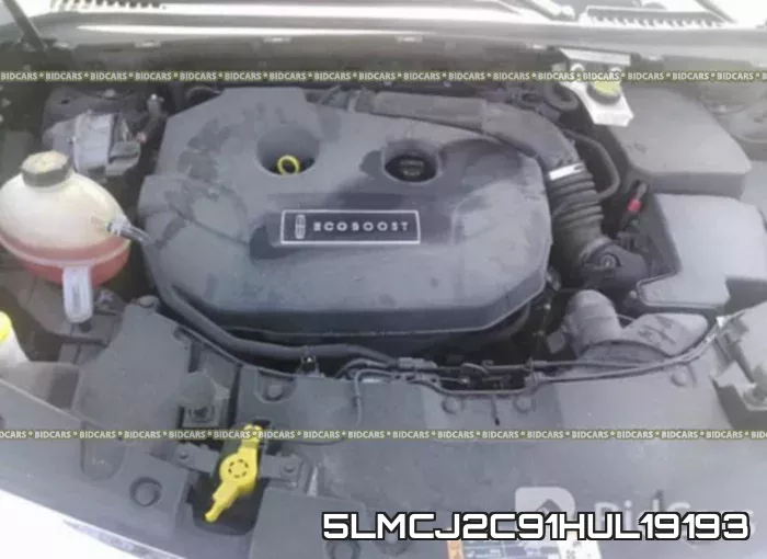 5LMCJ2C91HUL19193 фото 2