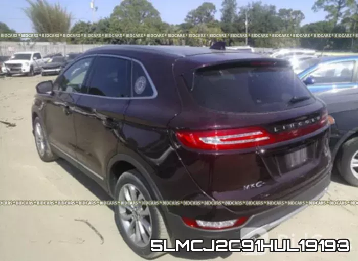 5LMCJ2C91HUL19193 фото 4