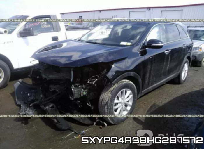 5XYPG4A38HG287572 фото 3