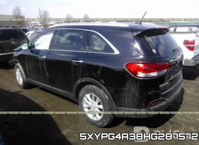 5XYPG4A38HG287572 фото 4