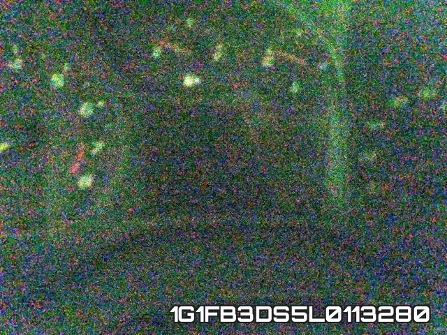 1G1FB3DS5L0113280 фото 5